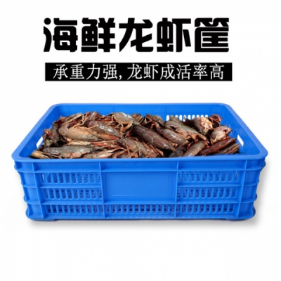 昆明塑料蟹苗筐